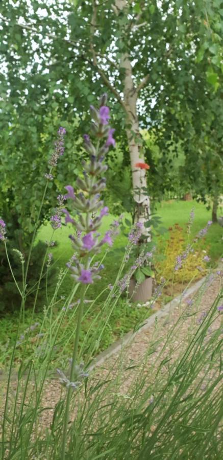 Green Garden Lohovo Бихач Экстерьер фото